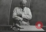 Image Docteur Arnold Gesell New Haven Connecticut USA, 1946, de la seconde 48 séquences d'archives historiques vidéo 65675064244