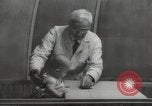 Image Docteur Arnold Gesell New Haven Connecticut USA, 1946, de la seconde 56 séquences d'archives historiques vidéo 65675064244