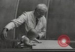 Image Docteur Arnold Gesell New Haven Connecticut USA, 1946, de la seconde 61 séquences d'archives historiques vidéo 65675064244