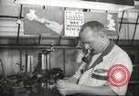 Standbild Jack und Heintz Unternehmen Krieg Anlage Bedford Ohio USA, 1943, aus Sekunde 32 historischem Filmmaterial Videoclip 65675064253