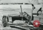 Image of Palestinian workers Tel Aviv Palestine, 1945, second 29 stock footage video 65675064280