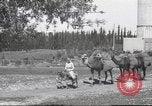 Image of Jewish worker Palestine, 1945, second 25 stock footage video 65675064283