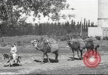 Image of Jewish worker Palestine, 1945, second 28 stock footage video 65675064283