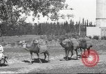 Image of Jewish worker Palestine, 1945, second 29 stock footage video 65675064283