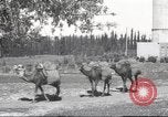 Image of Jewish worker Palestine, 1945, second 30 stock footage video 65675064283