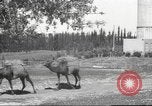 Image of Jewish worker Palestine, 1945, second 35 stock footage video 65675064283