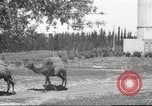 Image of Jewish worker Palestine, 1945, second 36 stock footage video 65675064283