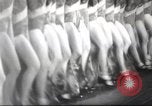 Image of Rockettes New York City USA, 1937, second 59 stock footage video 65675064292