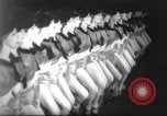 Immagine di Rockettes New York City USA, 1937, secondo 29 filmato di repertorio 65675064293