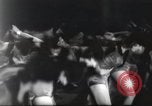 Immagine di Rockettes New York City USA, 1937, secondo 49 filmato di repertorio 65675064293