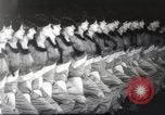 Immagine di Rockettes New York City USA, 1937, secondo 55 filmato di repertorio 65675064293