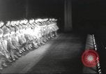 Image of Rockettes New York City USA, 1937, second 1 stock footage video 65675064294