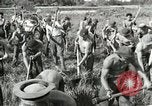 Image of CCC work on National Parks during depression United States USA, 1939, second 61 stock footage video 65675064309