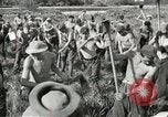 Image of CCC work on National Parks during depression United States USA, 1939, second 62 stock footage video 65675064309