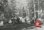 Image of Civilian Conservation Corps United States USA, 1939, second 11 stock footage video 65675064310