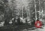 Image of Civilian Conservation Corps United States USA, 1939, second 12 stock footage video 65675064310