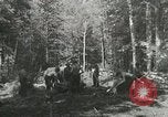 Image of Civilian Conservation Corps United States USA, 1939, second 13 stock footage video 65675064310