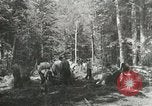 Image of Civilian Conservation Corps United States USA, 1939, second 14 stock footage video 65675064310