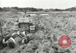 Image of Civilian Conservation Corps United States USA, 1939, second 17 stock footage video 65675064310