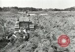 Image of Civilian Conservation Corps United States USA, 1939, second 18 stock footage video 65675064310