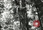 Image of Civilian Conservation Corps United States USA, 1939, second 25 stock footage video 65675064310