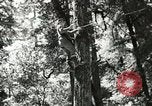 Image of Civilian Conservation Corps United States USA, 1939, second 26 stock footage video 65675064310