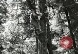 Image of Civilian Conservation Corps United States USA, 1939, second 27 stock footage video 65675064310