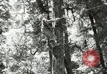 Image of Civilian Conservation Corps United States USA, 1939, second 28 stock footage video 65675064310