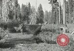 Image of Civilian Conservation Corps United States USA, 1939, second 36 stock footage video 65675064310