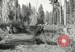 Image of Civilian Conservation Corps United States USA, 1939, second 38 stock footage video 65675064310