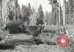 Image of Civilian Conservation Corps United States USA, 1939, second 39 stock footage video 65675064310