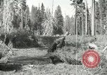 Image of Civilian Conservation Corps United States USA, 1939, second 40 stock footage video 65675064310