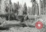 Image of Civilian Conservation Corps United States USA, 1939, second 42 stock footage video 65675064310