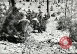 Image of Civilian Conservation Corps United States USA, 1939, second 44 stock footage video 65675064310