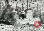 Image of Civilian Conservation Corps United States USA, 1939, second 45 stock footage video 65675064310