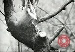 Image of Civilian Conservation Corps United States USA, 1939, second 51 stock footage video 65675064310
