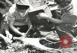 Image of Civilian Conservation Corps United States USA, 1939, second 54 stock footage video 65675064310