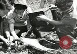 Image of Civilian Conservation Corps United States USA, 1939, second 55 stock footage video 65675064310