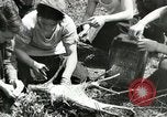 Image of Civilian Conservation Corps United States USA, 1939, second 57 stock footage video 65675064310