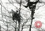 Image of Civilian Conservation Corps United States USA, 1939, second 1 stock footage video 65675064311