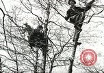 Image of Civilian Conservation Corps United States USA, 1939, second 3 stock footage video 65675064311