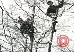 Image of Civilian Conservation Corps United States USA, 1939, second 4 stock footage video 65675064311
