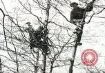 Image of Civilian Conservation Corps United States USA, 1939, second 5 stock footage video 65675064311