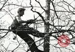 Image of Civilian Conservation Corps United States USA, 1939, second 6 stock footage video 65675064311