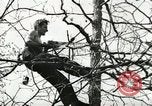 Image of Civilian Conservation Corps United States USA, 1939, second 7 stock footage video 65675064311