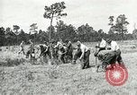Image of Civilian Conservation Corps United States USA, 1939, second 8 stock footage video 65675064311