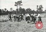 Image of Civilian Conservation Corps United States USA, 1939, second 10 stock footage video 65675064311