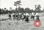 Image of Civilian Conservation Corps United States USA, 1939, second 11 stock footage video 65675064311