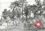 Image of Civilian Conservation Corps United States USA, 1939, second 13 stock footage video 65675064311