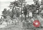 Image of Civilian Conservation Corps United States USA, 1939, second 14 stock footage video 65675064311